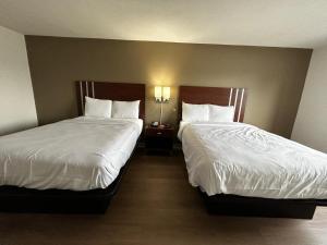 Standard Queen Room with Two Queen Beds - Non Smoking  room in Econo Lodge Inn & Suites