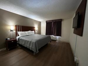 Standard King Room - Non Smoking room in Econo Lodge Inn & Suites