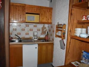 Studio sud 4 pers, animaux admis, terrasse ensoleillée - FR-1-464-50