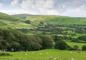 Quirky Cabin with On Site Dog Field