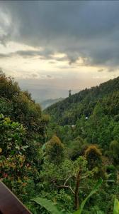 Munduk V View House