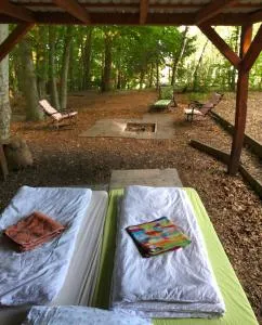 Schwedischer Shelter unter Buchen - Waake