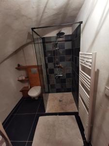 Appartements Les Voutes du Chambon : photos des chambres