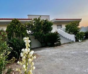 EvgatisBeach Loyskoy 2