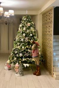 Mountain View Ceahlau