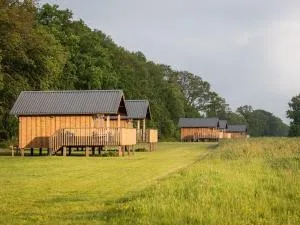 Composite lodges with shared space in Drenthe - Weerwille