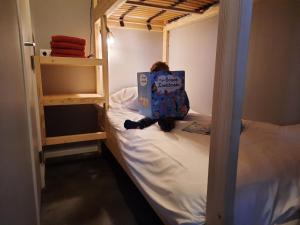 Lodge in Drenthe with Scenic Veranda