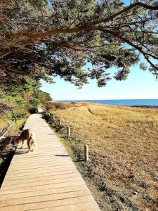 Hyper centre de Sarzeau, grand appartement au calme avec jardinet