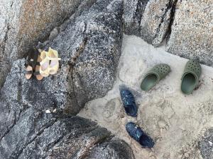 Superior Cabin with Private Beach Lofoten