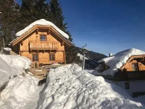 Bergdorf Riesner - Donnersbachwald