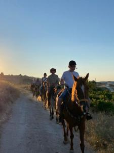 Avanos horse ranch