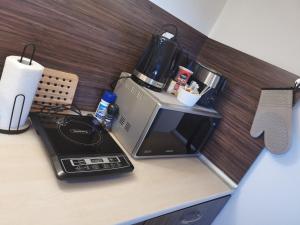 Pirin and Bansko view Studio