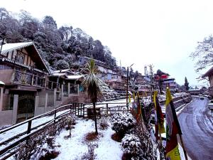 Marigold Manor Homestay