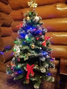 Дом с сауной и басейном на Теремках