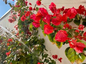 Allegria Pool House - Puglia Mia Apartments