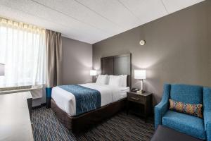 Queen Room - Accessible/Non Smoking room in Comfort Inn Schaumburg Woodfield Chicago