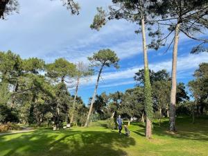 Maisons de vacances Beach house, Villa La belle Vie : photos des chambres