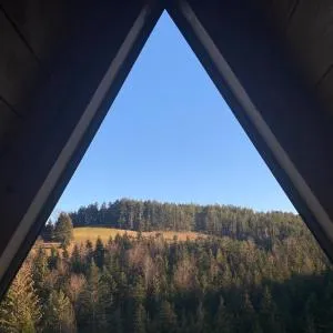 The Tara Concept - Šljivovica