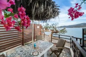 HIONA STUDIO N2 - Anevató