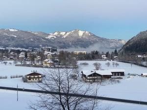 Schöne Ferienwohnung mit Wolfgangseeblick