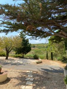 Appartements Le Carignan : photos des chambres