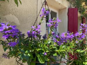 Appartements Gite La Forge : photos des chambres