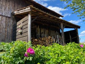 Appartements Gite La Forge : photos des chambres