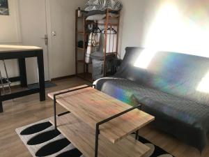 Appartements Studio 30m2 sympa a la limite de TOURS : photos des chambres