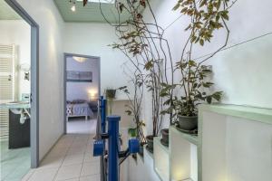 Appartements Les Volets Bleus T3 de 80 m2 patio privatif : photos des chambres