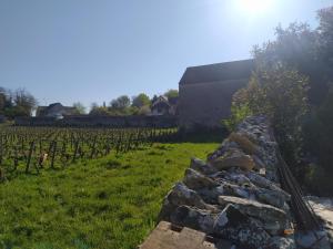 Maisons de vacances Le Clos du Chateau : photos des chambres