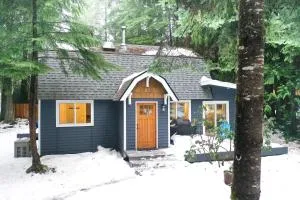 Kulshan Cabin - Concrete