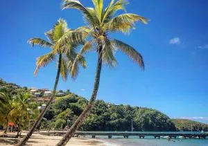 Superbe Appart T2 de standing, à l'Anse à l'âne, à 5mn à pied des plages - Quartiers Anse à lʼÂne