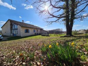 Maisons de vacances La Grange de Louise - au coeur du Quercy : photos des chambres