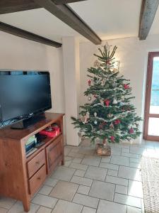 Maisons de vacances La ferme des boudieres : photos des chambres