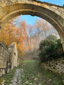 B&B / Chambres d'hotes Chateau de Nazelles Amboise : photos des chambres