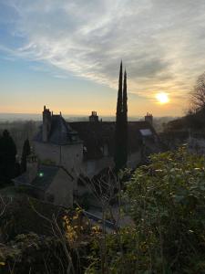 B&B / Chambres d'hotes Chateau de Nazelles Amboise : photos des chambres