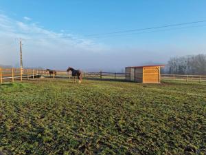 Appartements Logement de charme en campagne girondine: le Domaine de Mongeret : photos des chambres