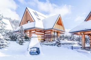 Luxury Chalet Wioska Jagny