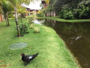 Villa da Enseada, Praia do Forte