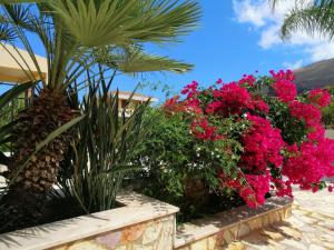 Le Falesie di Castelluzzo