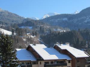 Appartements Tournette Montagnes et Lacs : photos des chambres