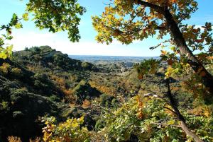 Maisons de vacances Lovely house in Provence : photos des chambres