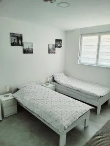 Oaza apartmani 4 - Orom Breg
