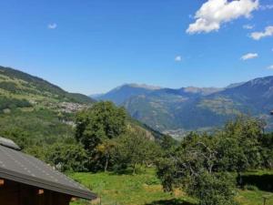 Appartements Chalet montagnard , 2 chambre ,70m2 ,navette gratuite : photos des chambres