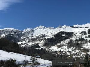 Appartements Chalet montagnard , 2 chambre ,70m2 ,navette gratuite : photos des chambres