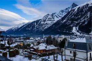 Appartements Portes du Brevent -1 bedroom apartment with magnificient Mont Blanc views : photos des chambres