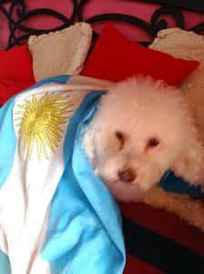 Playa, bosque y lago