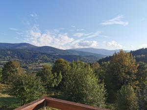 Domek na Niedźwiedziarce