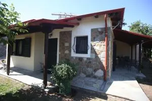 Boletus MushROOM - Makrakómi