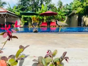 The Kingslayer Resort - Daluwekotuwa